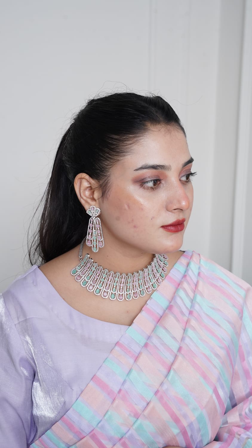 Organza Saree with Silk Blouse