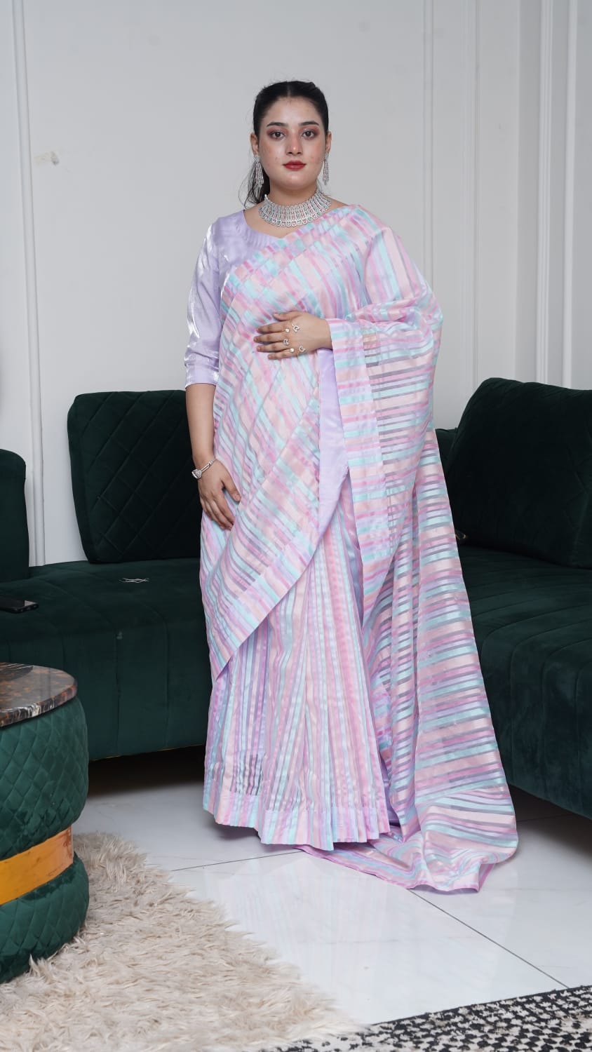 Organza Saree with Silk Blouse