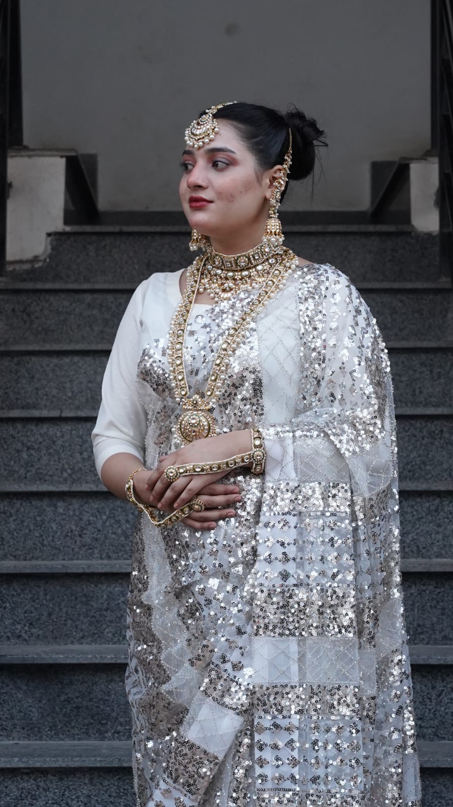 Cut Dana Full Heavy Saree