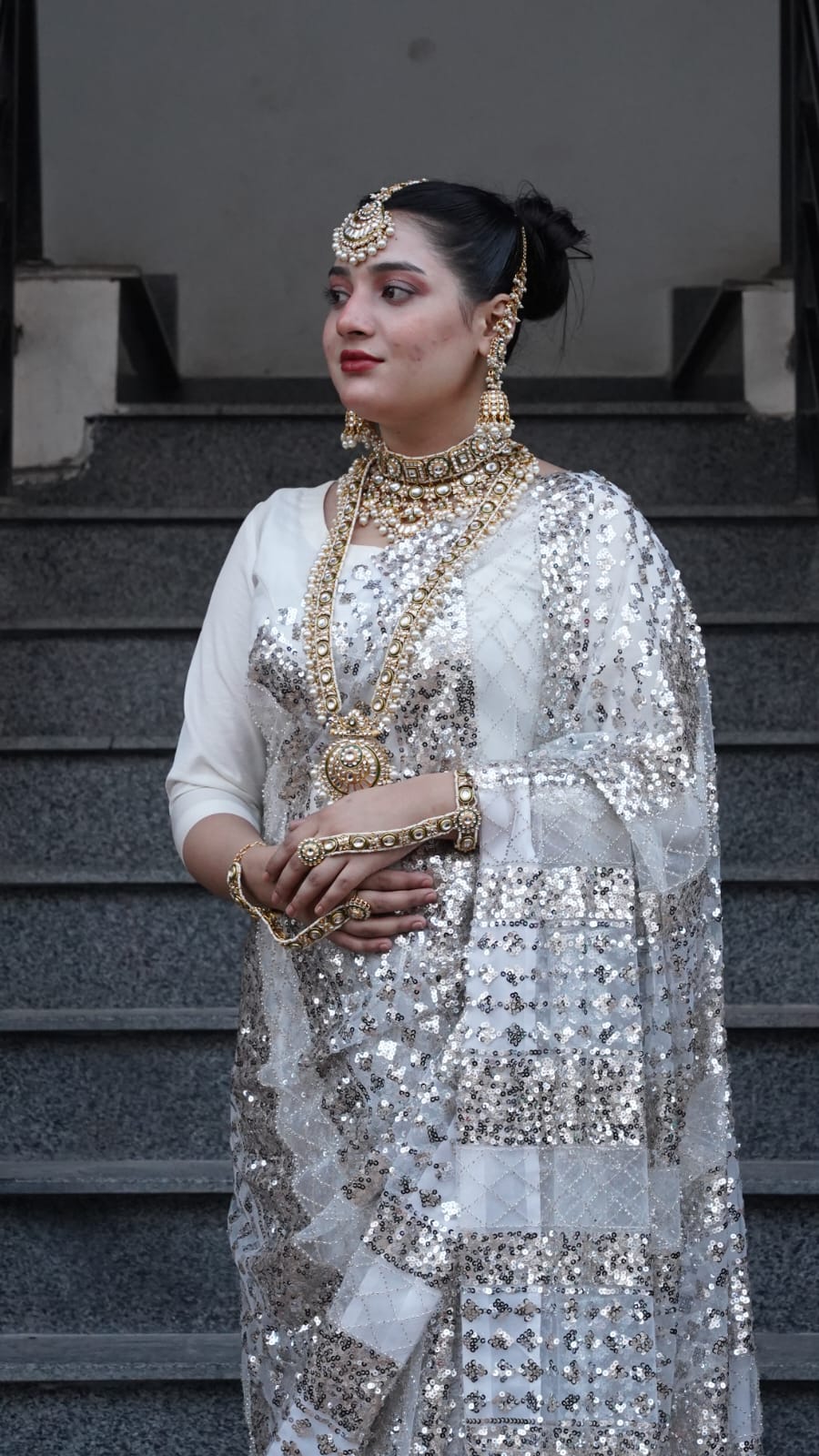 Cut Dana Full Heavy Saree